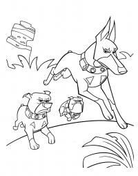Три собаки, собака с большими ушами, джунгли Скачать раскраски для мальчиков