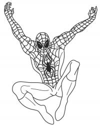 Человек паук в прыжке с поднятыми руками в верх Раскраски для мальчиков