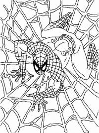 Человек паук на паутине Раскраски для мальчиков