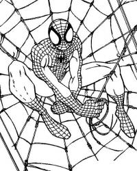 Человек паук на паутине сидит Раскраски для мальчиков