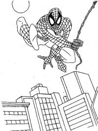 Человек паук над городом Раскраски для мальчиков