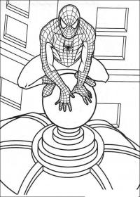 Человек паук сидит на шаре, крыше небоскреба Раскраски для мальчиков