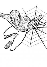 Человек паук и паутина Раскраски для мальчиков