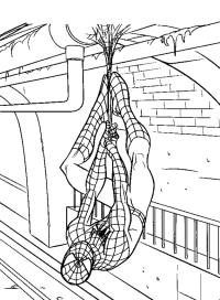 Человек паук повис вниз головой на трубе Раскраски для мальчиков