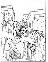 Человек паук перемещается по городу на паутине Раскраски для мальчиков