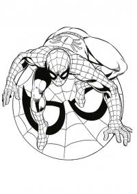 Человек паук на своей эмблеме Раскраски для мальчиков