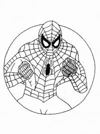 Человек паук в круге Раскраски для мальчиков