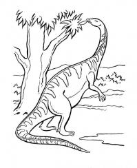 Платерозавр ест листья с деревьев Раскраски для мальчиков