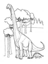 Бронтозавр выше деревьев Раскраски для мальчиков