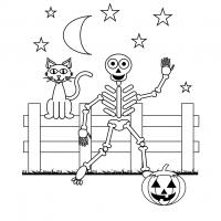 Скелет возле забора, кошка на заборе, тыква на хэллуин, ночь, месяц и звезды Раскраски для мальчиков бесплатно