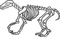 Скелет динозавра вид с боку Раскраски для мальчиков бесплатно
