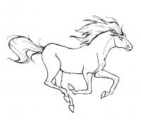 Лошадь мчится с развивающимися хвостой и гривой на ветру Скачать раскраски для мальчиков