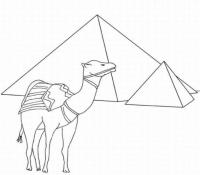 Верблюд возле пирамид Раскраски для мальчиков бесплатно
