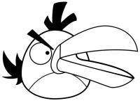 Angry birds злые птички с длинным клювом Раскраски для детей мальчиков