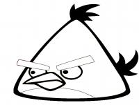 Angry birds злые птички, треугольная птичка Раскраски для детей мальчиков