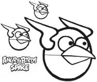 Angry birds злые птички, птичка с раскрытыми крыльями Раскраски для детей мальчиков