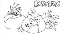 Angry birds злые птички трио Раскраски для детей мальчиков