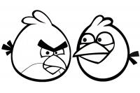 Angry birds две злые птички Раскраски для детей мальчиков