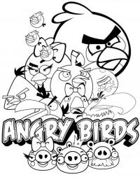 Angry birds злые птички и поросята Раскраски для детей мальчиков