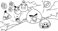 Angry birds злые птички гонятся за поросятами Раскраски для детей мальчиков
